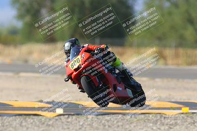 media/Oct-07-2023-CVMA (Sat) [[f84d08e330]]/Race 12 Amateur Supersport Open/